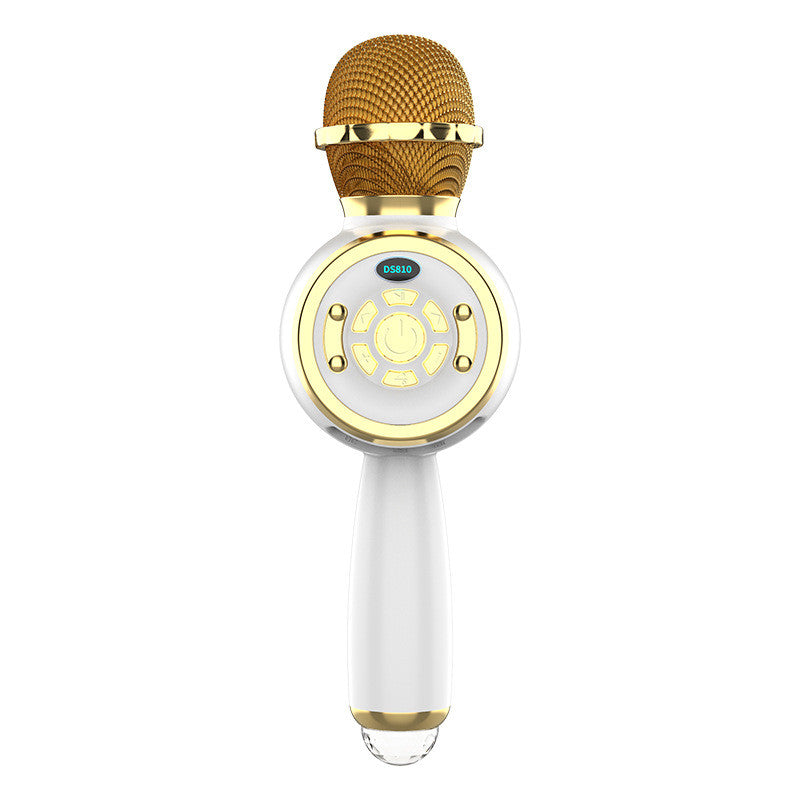 Bluetooth Karaoke Speaker