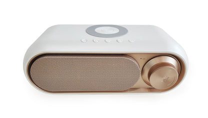 Zyvexa SmartGlow Audio Charger