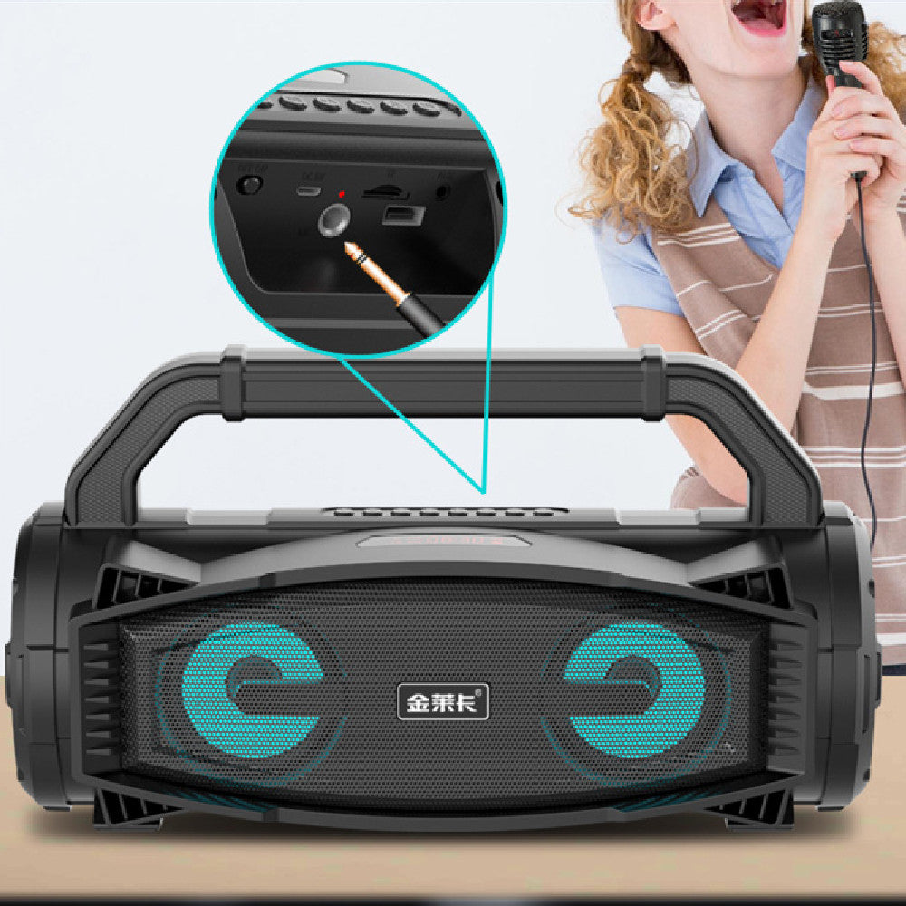 ZYVEXA B99 Outdoor BT Speaker