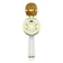 Bluetooth Karaoke Speaker