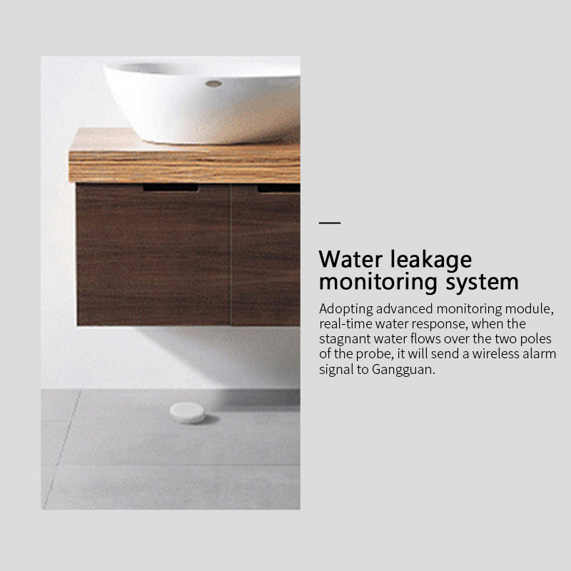 Smart leak detector