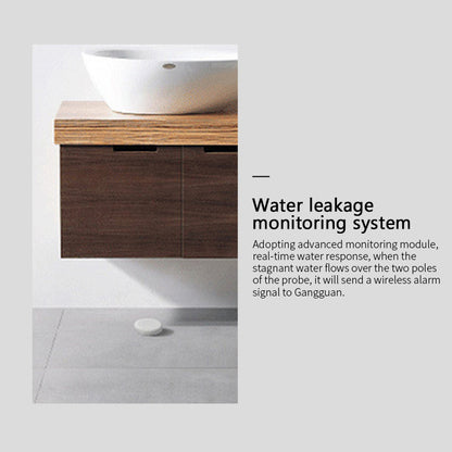 Smart leak detector